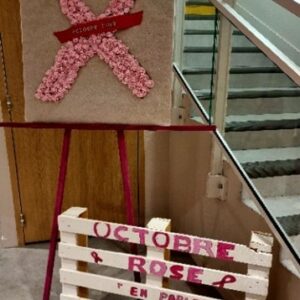 retour octobre rose 6