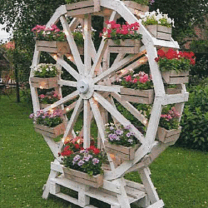 photo jardin étoilé 1