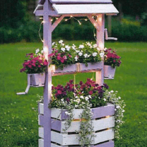 photo jardin étoilé
