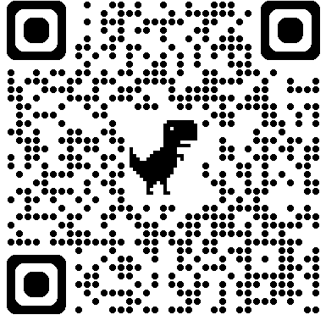 FLASH CODE